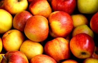 AgriInnovate: $2.5M for Ocean Crisp Apple Company Inc.