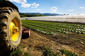 AgriScience Awards Canadian Horticultural Council