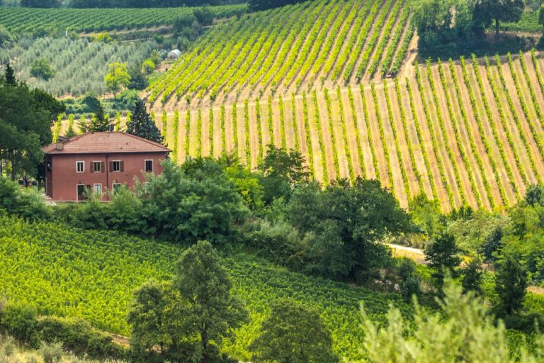 bigstock-Farm-Near-San-Gimignano-tusca-44670022