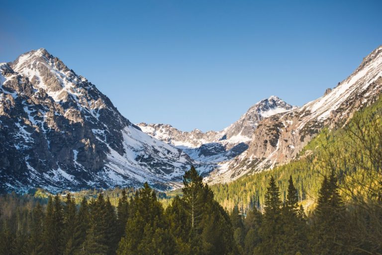 Canadian mountain landscape