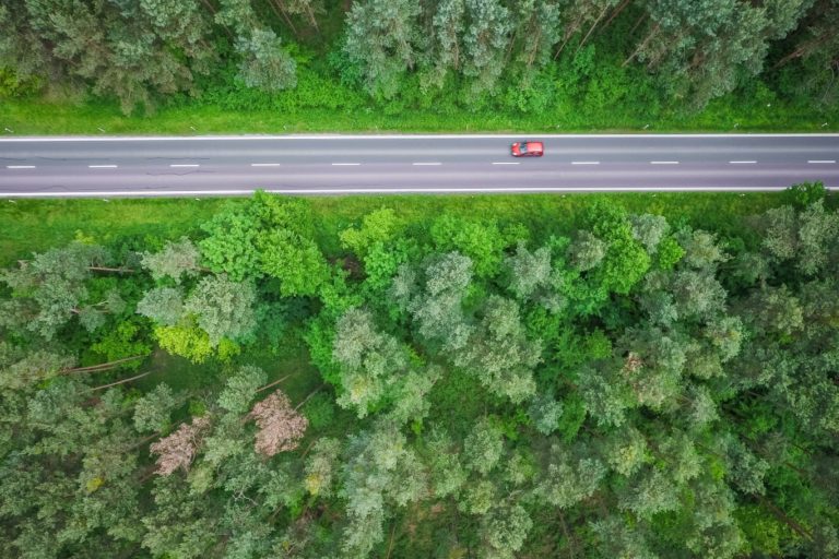 aerial-and-symmetric-view-of-a-road-in-the-woods-picjumbo-com