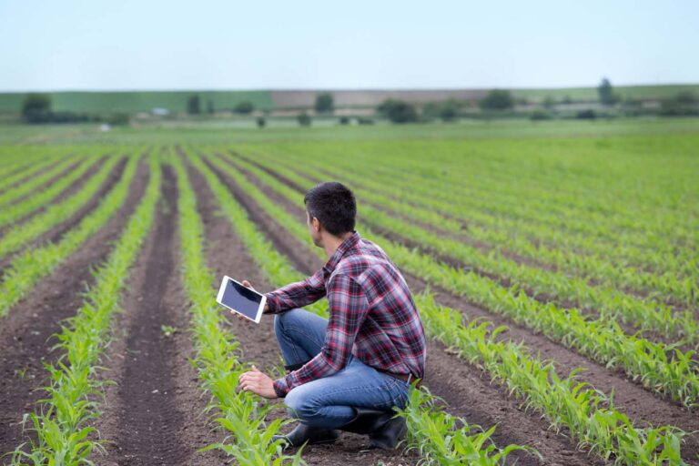 Food Science SR&ED Funding – Natural & Organic Projects