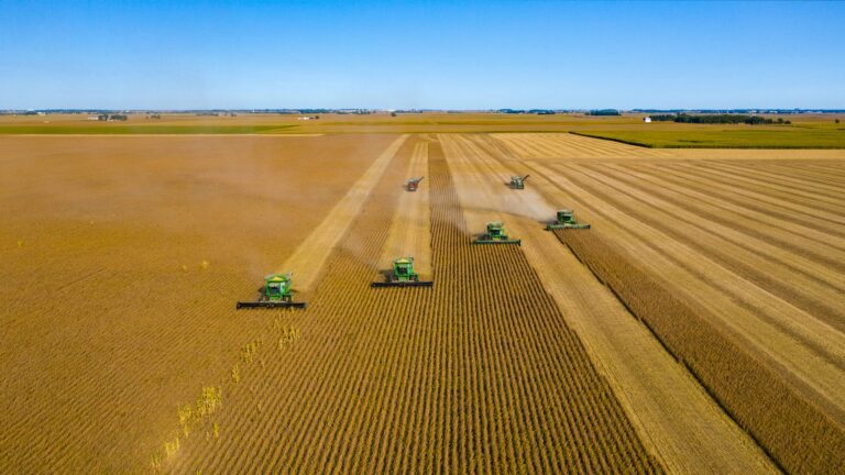 Agricultural Land