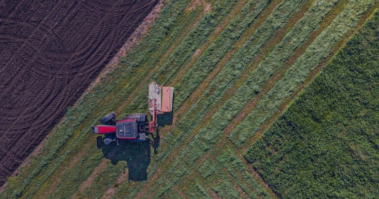 $1.5 Million SWODF Agribusiness Win Supports 150 New Jobs